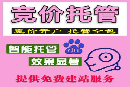 托管SEM竞价：提升广告效果的成功案例